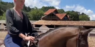 banco-tenta-penhorar-cavalo-que-ana-hickmann-ganhou-de-edu-guedes