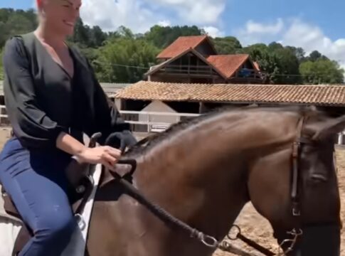 banco-tenta-penhorar-cavalo-que-ana-hickmann-ganhou-de-edu-guedes