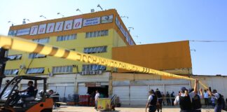 supermercado-tatico-tera-de-dedetizar-todas-unidades-do-df-e-entorno