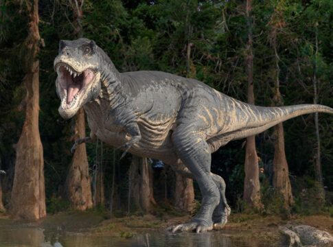 velozes?-estudo-mostra-que-dinossauros-eram-mais-lentos-do-se-pensava