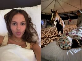anitta-passa-por-terapia-de-cura-com-cavalos:-entenda-procedimento
