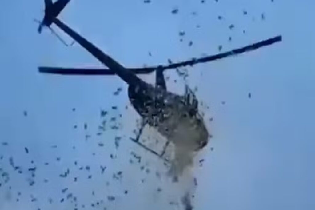helicoptero-joga-dolares-em-cidade-no-desejo-final-de-milionario;-veja