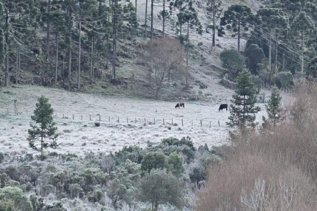 sc:-3o-dia-de-onda-de-frio-marca-temperaturas-de-ate-2oc-nesta-quarta