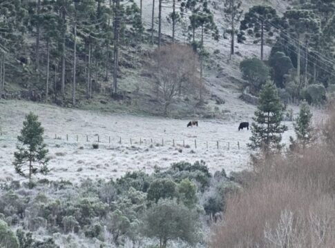 sc:-3o-dia-de-onda-de-frio-marca-temperaturas-de-ate-2oc-nesta-quarta