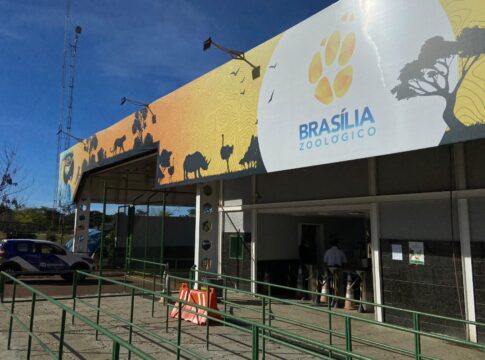 apos-2-casos-de-gripe-aviaria,-zoo-do-df-reabrira-ao-publico-na-2a
