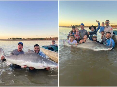 homem-fisga-“rainha-do-araguaia”,-com-2,06-metros-e-100-kg.-video