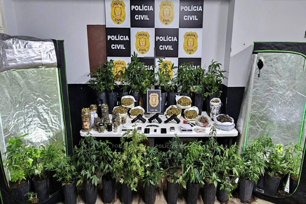 hervachips:-personal-da-maconha-e-preso-com-skunk-“artesanal”