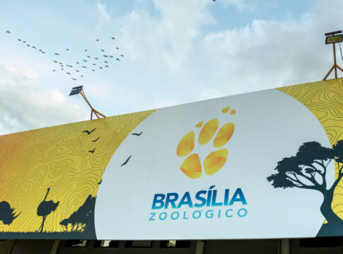 ferias-escolares:-zoo-de-brasilia-abrira-as-segundas-feiras-neste-mes