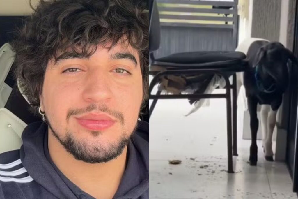 nattan-mostra-estragos-feitos-por-carneiro-em-casa:-“trabalho-demais”