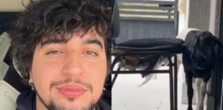 nattan-mostra-estragos-feitos-por-carneiro-em-casa:-“trabalho-demais”