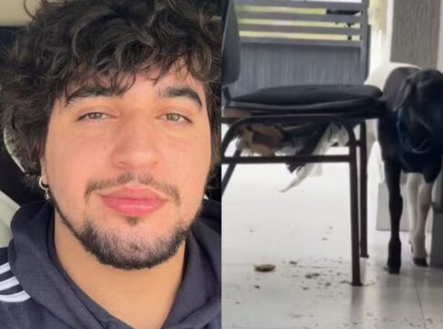nattan-mostra-estragos-feitos-por-carneiro-em-casa:-“trabalho-demais”