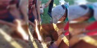 video:-homem-cai-dentro-de-caixao-apos-cova-abrir-em-cemiterio-do-df