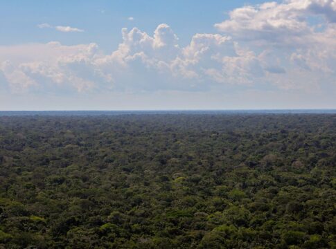organizacoes-sociais-propoem-plano-para-investimentos-na-amazonia