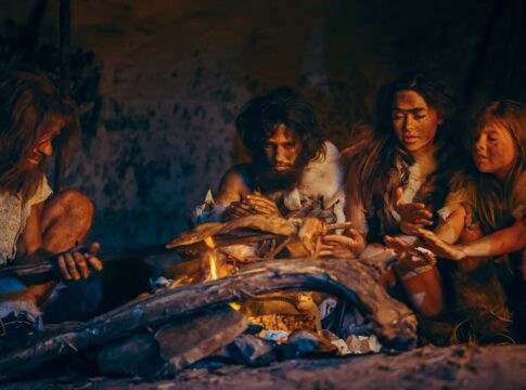neandertais-ferviam-ossos-para-extrair-gordura-animal-ha-125-mil-anos