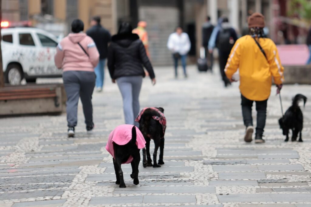 geadas,-chuvas-e-frio:-saiba-como-fica-o-tempo-neste-fim-de-semana