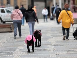 geadas,-chuvas-e-frio:-saiba-como-fica-o-tempo-neste-fim-de-semana