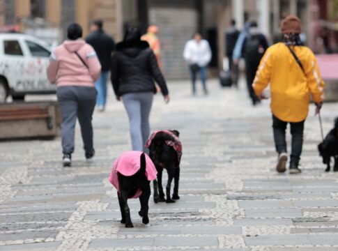geadas,-chuvas-e-frio:-saiba-como-fica-o-tempo-neste-fim-de-semana