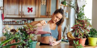 conheca-3-vitaminas-nutritivas-para-aumentar-a-imunidade-no-inverno