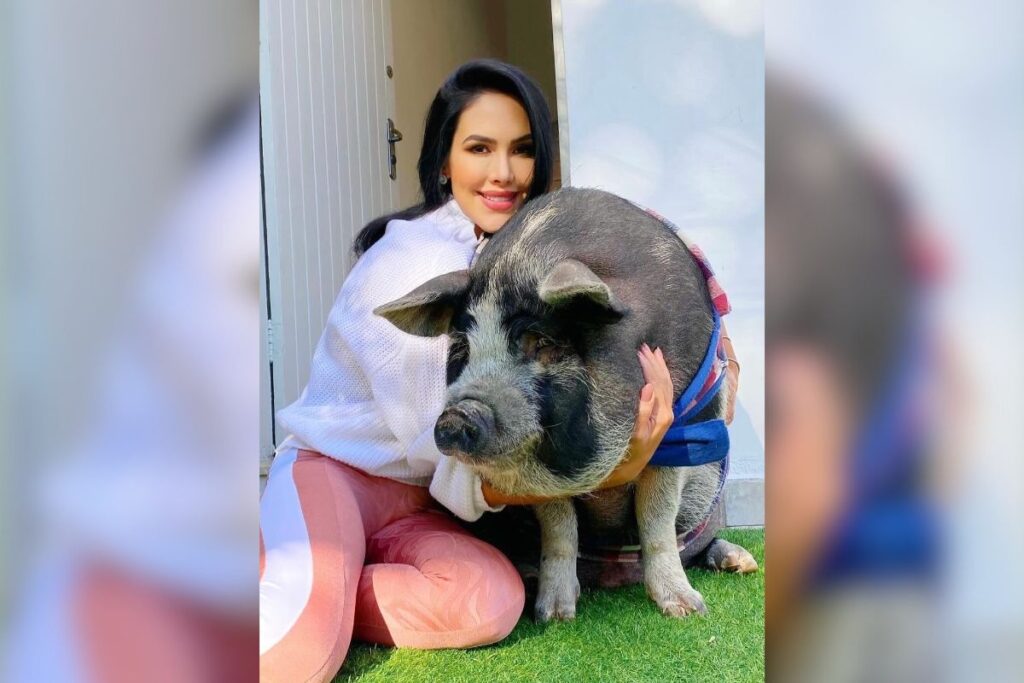 “amor-por-animal-considerado-produto”,-diz-tutora-de-porco-influencer