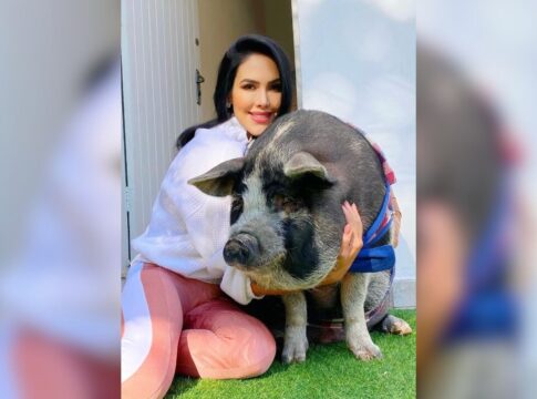 “amor-por-animal-considerado-produto”,-diz-tutora-de-porco-influencer