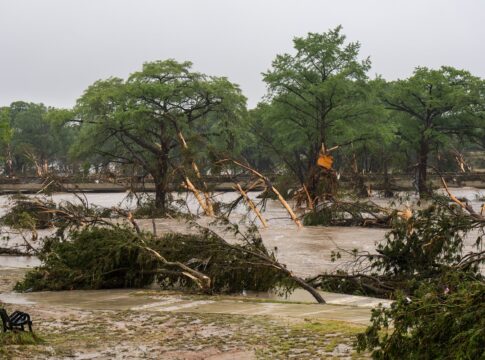 veja-videos-das-enchentes-que-atingem-o-texas,-nos-estados-unidos