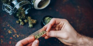 em-dois-anos,-mais-de-1-mil-foram-presos-com-ate-40g-de-maconha