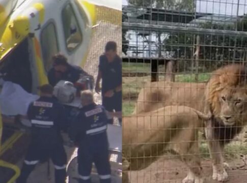 mulher-tem-braco-arrancado-por-leao-em-zoologico-na-australia