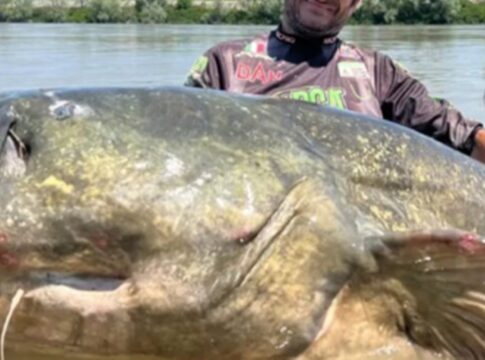 bagre-gigante-de-quase-3-metros-bate-recorde-e-viraliza-nas-redes