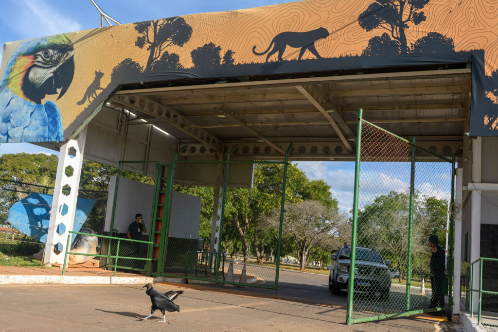 apos-mais-de-um-mes-fechado,-zoo-de-brasilia-reabre.-veja-horarios