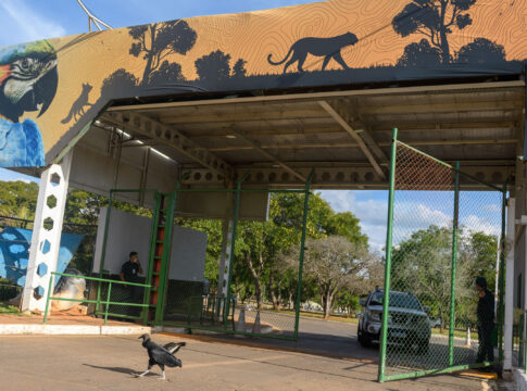 apos-mais-de-um-mes-fechado,-zoo-de-brasilia-reabre.-veja-horarios
