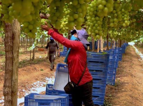 caminhos-da-reportagem:-vale-do-sao-francisco,-o-sertao-tecnologico