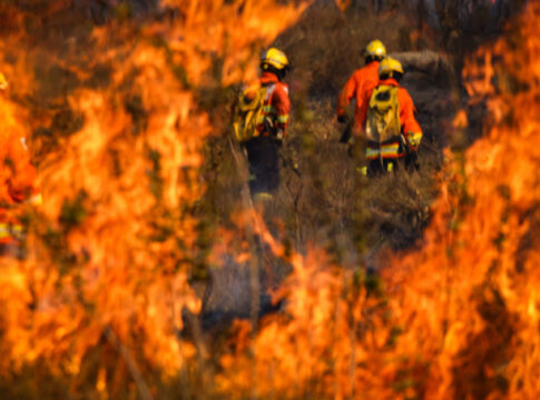 homens-que-incendiaram-floresta-nacional-de-proposito-viram-reus