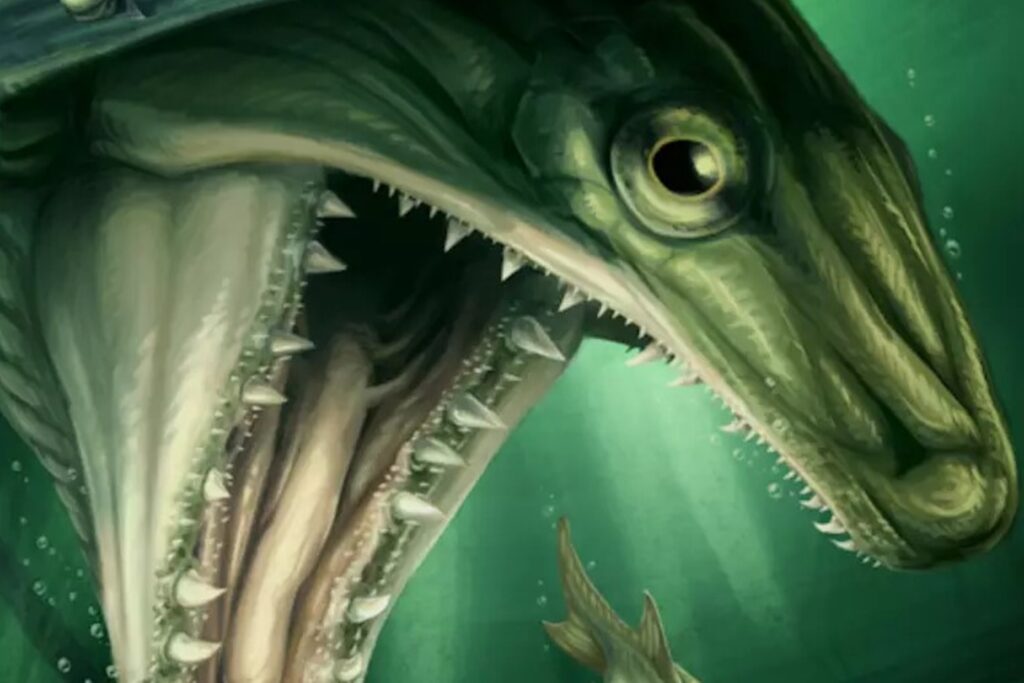 fossil-de-350-milhoes-de-anos-revela-um-novo-tipo-de-peixe-predador