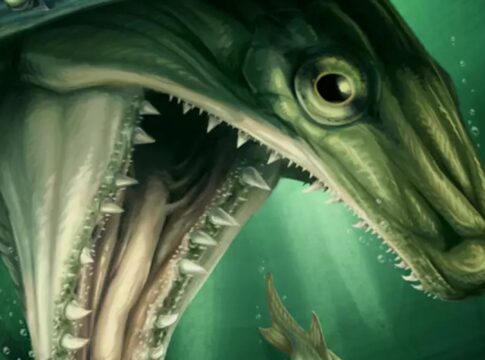 fossil-de-350-milhoes-de-anos-revela-um-novo-tipo-de-peixe-predador