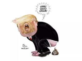charge-do-aroeira