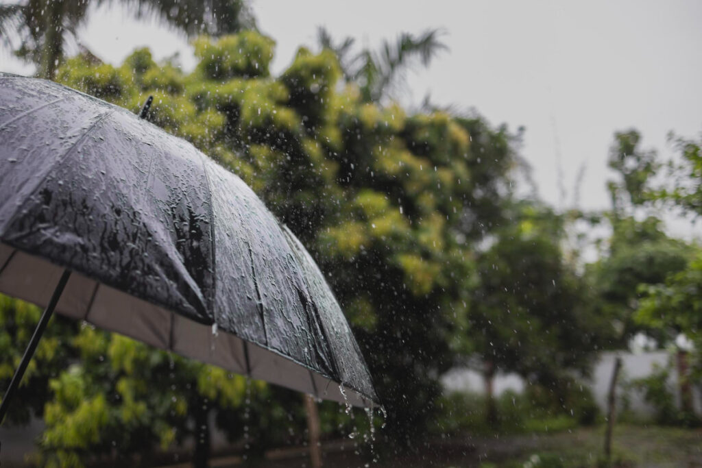 clima:-chuvas-e-geadas-continuam-a-castigar-parte-do-pais;-confira