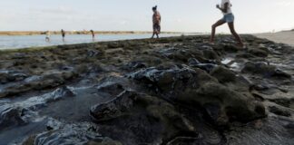 estrangeiros-atrasam-investigacao-sobre-oleo-no-litoral-do-nordeste