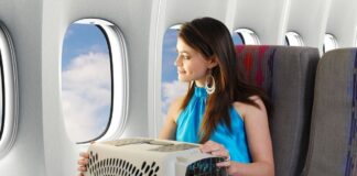 de-ferias?-confira-regras-para-o-transporte-de-caes-e-gatos-em-avioes