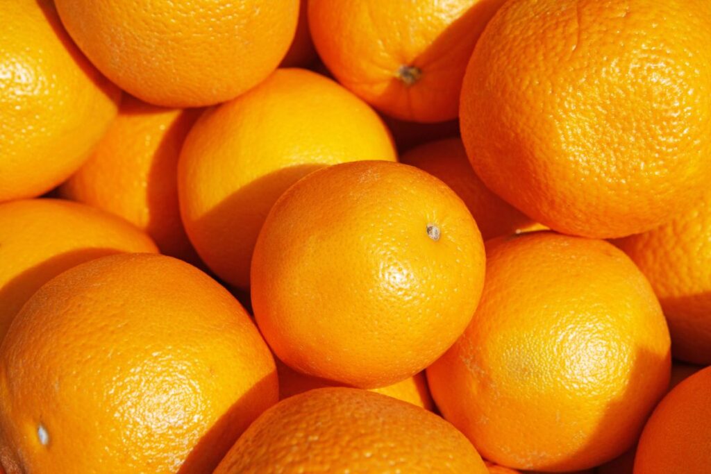 carne,-suco-de-laranja,-acucar:-o-que-mais-preocupa-o-agro-no-tarifaco