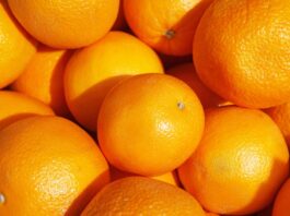 carne,-suco-de-laranja,-acucar:-o-que-mais-preocupa-o-agro-no-tarifaco