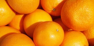 carne,-suco-de-laranja,-acucar:-o-que-mais-preocupa-o-agro-no-tarifaco