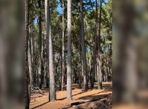 mulher-encontrada-morta-no-paranoa-foi-assassinada-por-ex-companheiro