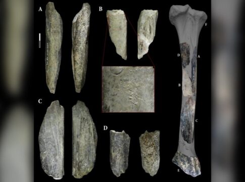 arqueologos-acham-“canivete”-feito-com-ossos-de-leao-por-neandertais