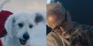 conheca-o-cachorro-real-que-inspirou-krypto,-companheiro-do-superman