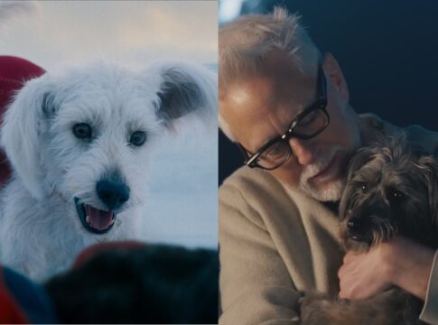 conheca-o-cachorro-real-que-inspirou-krypto,-companheiro-do-superman