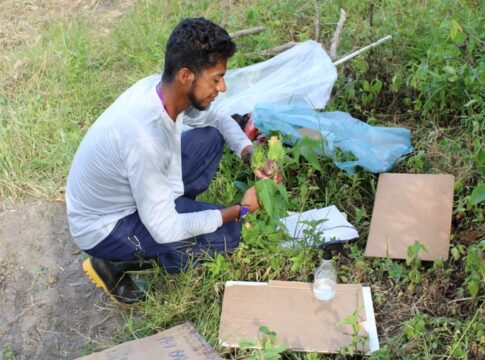 indigena-resgata-saberes-ancestrais-em-estudo-sobre-plantas-medicinais