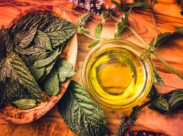 cha-antioxidante-auxilia-no-controle-da-glicemia-e-protege-o-coracao