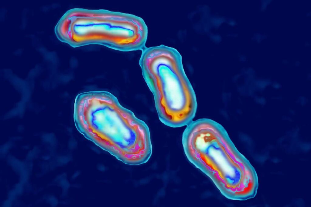 paciente-nos-eua-morre-com-bacteria-da-“grande-peste”-da-idade-media