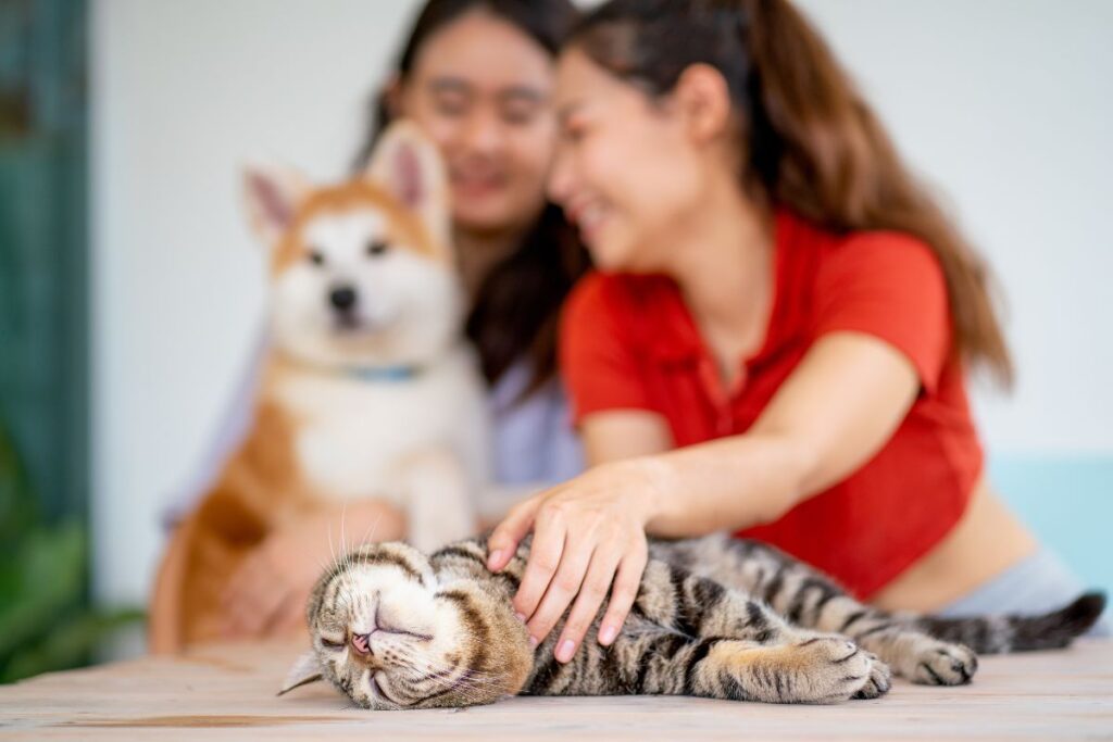 o-que-significa-tratar-o-pet-como-crianca,-segundo-uma-psicologa