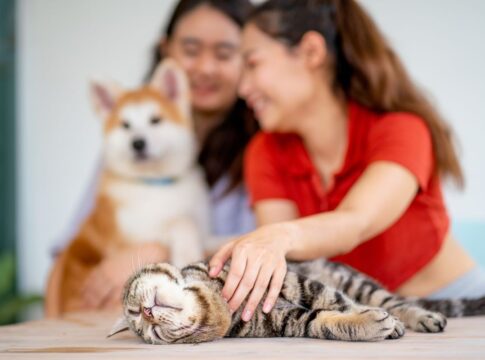 o-que-significa-tratar-o-pet-como-crianca,-segundo-uma-psicologa